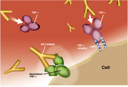 Mucosal Healing